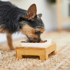 Frisco Square Melamine Dog & Cat Bowl With Bamboo Stand -PetPalace Picks 232072 PT8. AC SS1800 V1605746845