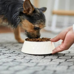 Frisco Hammered Melamine Stainless Steel Dog Bowl -PetPalace Picks 232083 PT7. AC SS1800 V1692989464