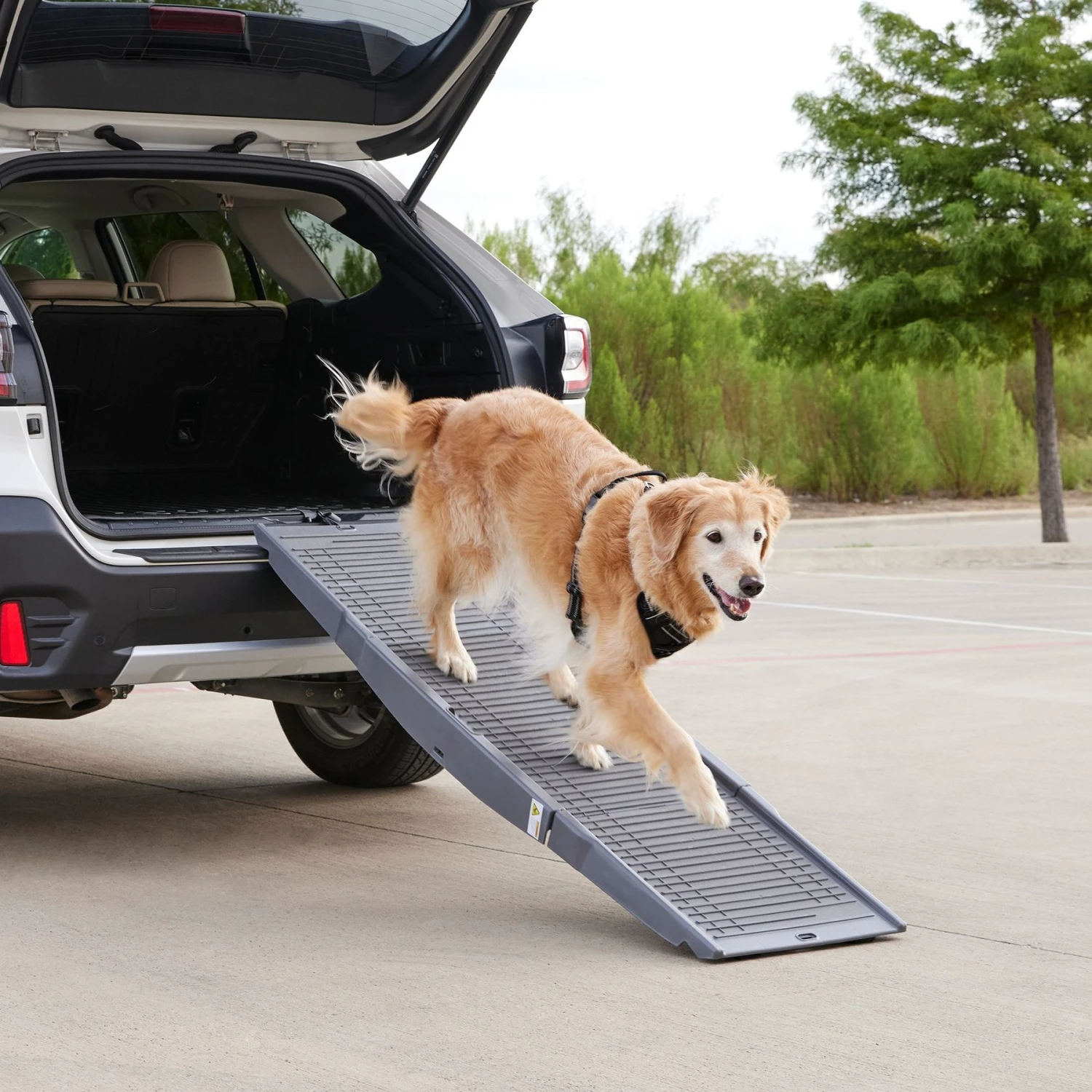 Frisco Tri-Fold Travel Dog Car Ramp 1 Frisco Tri-Fold Travel Dog Car Ramp