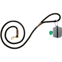 Frisco Dog Poop Bags With Fabric Dispenser 11 Frisco Dog Poop Bags With Fabric Dispenser -PetPalace Picks 236998 PT4. AC SS1800 V1610773746