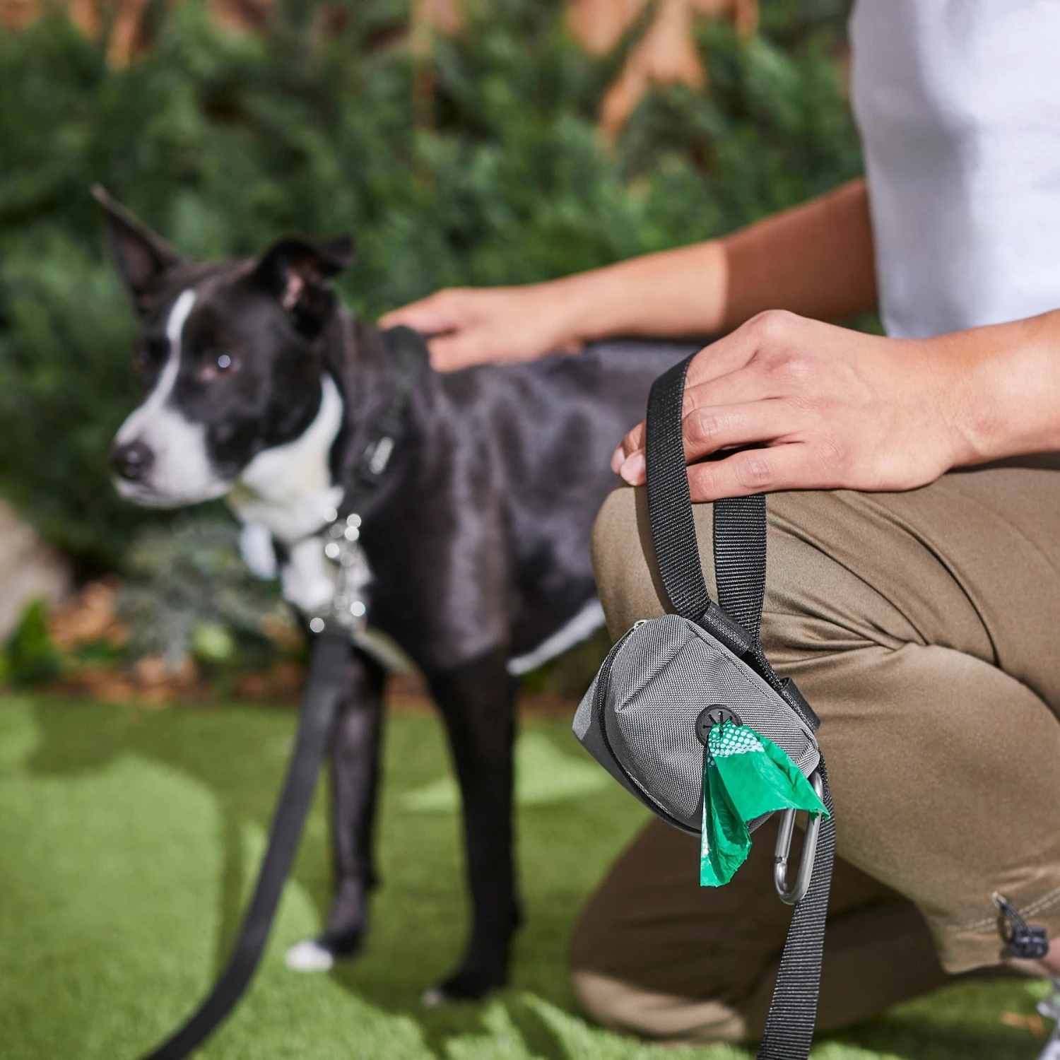 Frisco Dog Poop Bags With Fabric Dispenser 7 Frisco Dog Poop Bags With Fabric Dispenser - Image 7