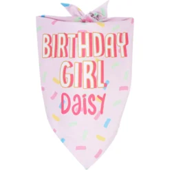 Frisco Birthday Girl Personalized Dog & Cat Bandana