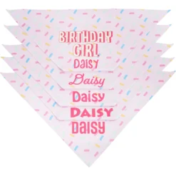 Frisco Birthday Girl Personalized Dog & Cat Bandana 12 Frisco Birthday Girl Personalized Dog & Cat Bandana -PetPalace Picks 238333 PT4. AC SS1800 V1618507367