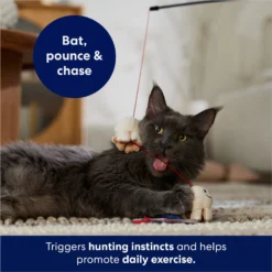 Frisco Zoomies & Chill Popcorn Teaser Wand Cat Toy With Catnip -PetPalace Picks 241713 PT5. AC SS1800 V1691785246