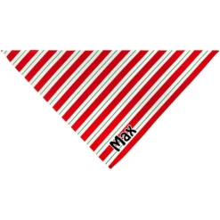 Frisco Peppermint Personalized Dog & Cat Bandana 11 Frisco Peppermint Personalized Dog & Cat Bandana -PetPalace Picks 242807 PT3. AC SS1800 V1618507377