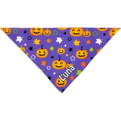 Frisco Halloween Pumpkins Personalized Dog & Cat Bandana 11 Frisco Halloween Pumpkins Personalized Dog & Cat Bandana -PetPalace Picks 242815 PT3. AC SS1800 V1618511830