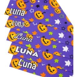 Frisco Halloween Pumpkins Personalized Dog & Cat Bandana 12 Frisco Halloween Pumpkins Personalized Dog & Cat Bandana -PetPalace Picks 242815 PT4. AC SS1800 V1618511516