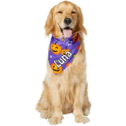 Frisco Halloween Pumpkins Personalized Dog & Cat Bandana 14 Frisco Halloween Pumpkins Personalized Dog & Cat Bandana -PetPalace Picks 242815 PT6. AC SS1800 V1618509475