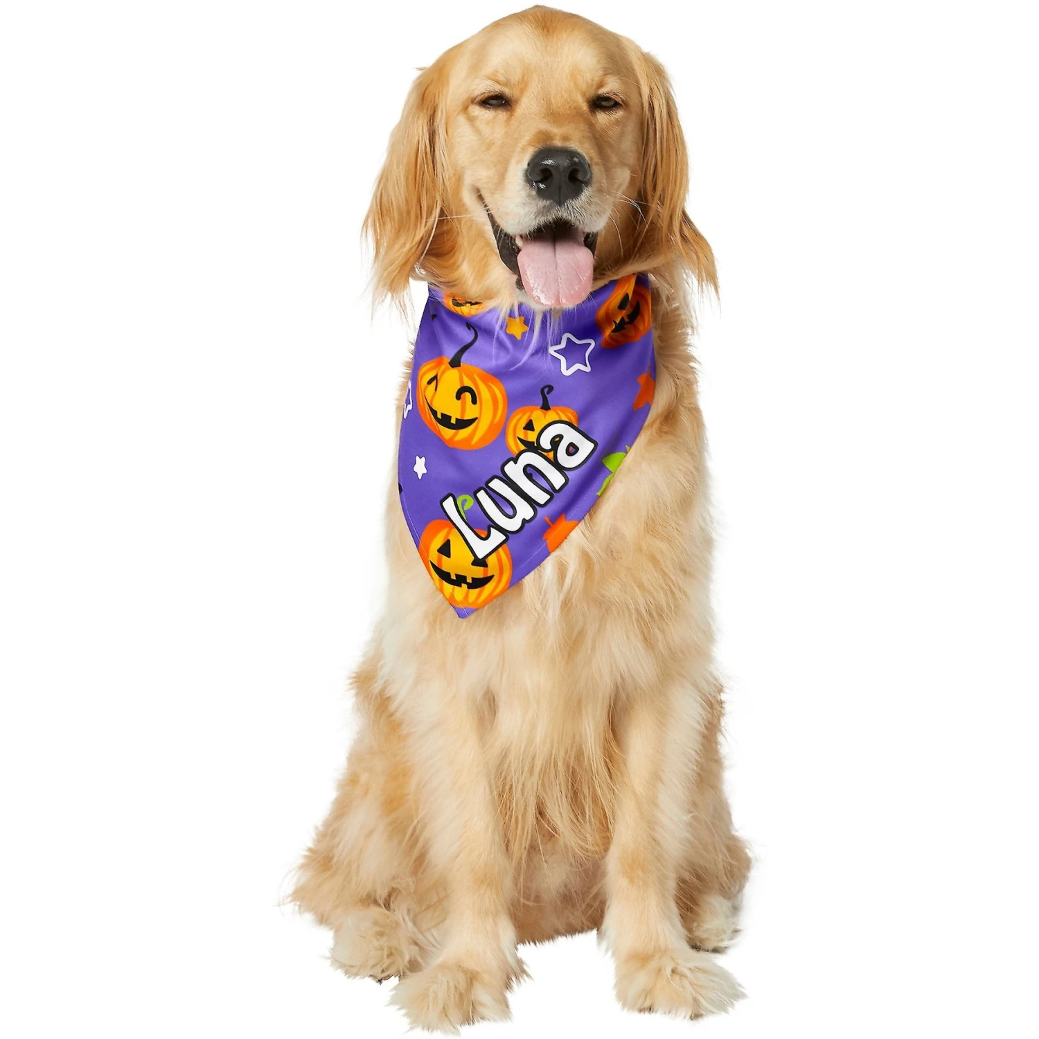 Frisco Halloween Pumpkins Personalized Dog & Cat Bandana 7 Frisco Halloween Pumpkins Personalized Dog & Cat Bandana - Image 7