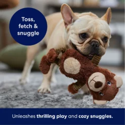 Frisco Bear Plush Squeaky Dog Toy -PetPalace Picks 245924 PT4. AC SS1800 V1695760929