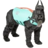Frisco Active Dog Life Jacket