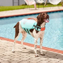 Frisco Active Dog Life Jacket -PetPalace Picks 247894 PT7. AC SS1800 V1616506092