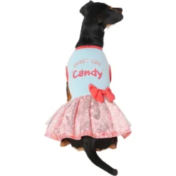 Frisco Sweet Like Candy Dog & Cat Dress 8 Frisco Sweet Like Candy Dog & Cat Dress -PetPalace Picks 248666 PT2. AC SS1800 V1632421633