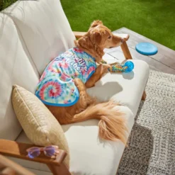Frisco Pawsitive Vibes Tiedye Print Dog & Cat T-Shirt -PetPalace Picks 248783 PT5. AC SS1800 V1637687526