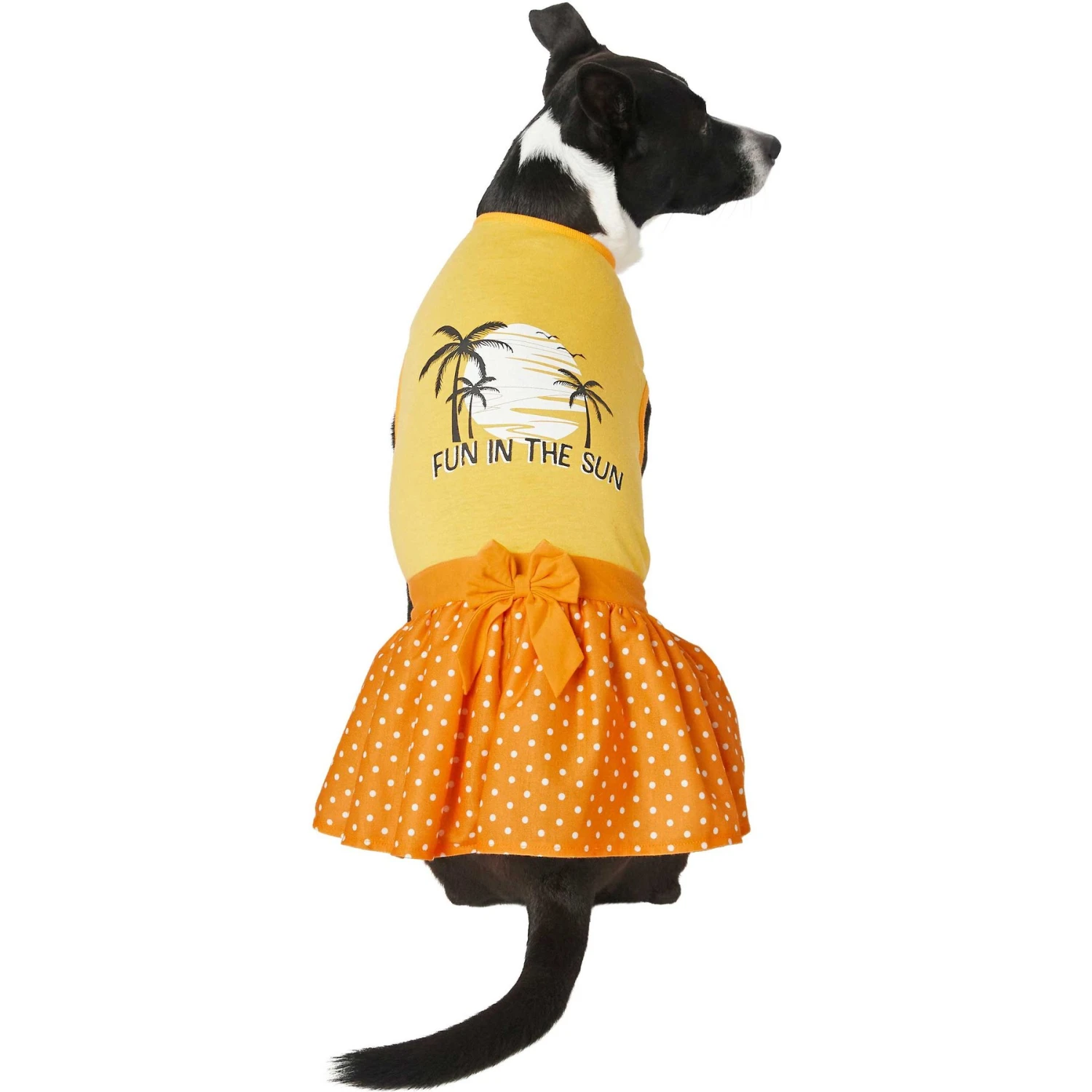 Frisco Fun In The Sun Dog & Cat Dress 3 Frisco Fun In The Sun Dog & Cat Dress - Image 3