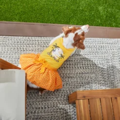 Frisco Fun In The Sun Dog & Cat Dress 10 Frisco Fun In The Sun Dog & Cat Dress -PetPalace Picks 249058 PT4. AC SS1800 V1637668124