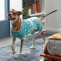 Frisco Teal Floral Dog & Cat Jersey PJs -PetPalace Picks 249132 PT7. AC SS1800 V1614376401