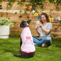 Frisco It's My Birthday Dog & Cat T-Shirt, Pink 9 Frisco It's My Birthday Dog & Cat T-Shirt, Pink -PetPalace Picks 249255 PT7. AC SS1800 V1614289423