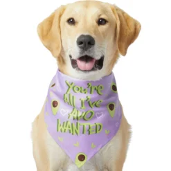 Frisco You're All I've Avo Wanted Dog & Cat Bandana 9 Frisco You're All I've Avo Wanted Dog & Cat Bandana -PetPalace Picks 249292 PT2. AC SS1800 V1637723806
