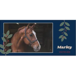 Frisco Berry Garland Personalized Coffee Mug, 11-oz 6 Frisco Berry Garland Personalized Coffee Mug, 11-oz -PetPalace Picks 249333 PT2. AC SS1800 V1602863774