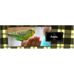 Frisco Double Walled Red Plaid Personalized Tumbler, 30-oz Cup 9 Frisco Double Walled Red Plaid Personalized Tumbler, 30-oz Cup -PetPalace Picks 249346 PT2. AC SS1800 V1602029161