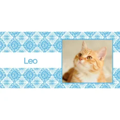 Frisco Boho Damask Personalized Coffee Mug -PetPalace Picks 250717 PT2. AC SS1800 V1605310324