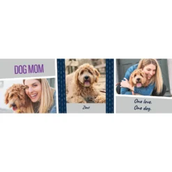 Frisco Double Walled "Dog Mom" Personalized Tumbler, 30-oz Cup 8 Frisco Double Walled "Dog Mom" Personalized Tumbler, 30-oz Cup -PetPalace Picks 250741 PT2. AC SS1800 V1602689509