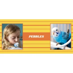 Frisco Double Walled Preppy Stripes Personalized Tumbler, 30-oz Cup -PetPalace Picks 250751 PT2. AC SS1800 V1606678620