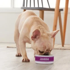 Frisco Preppy Stripes Ceramic Personalized Dog & Cat Bowl -PetPalace Picks 250837 PT3. AC SS1800 V1610764911