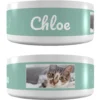 Frisco Playful Kitty Ceramic Personalized Cat Bowl, 1-cup, 8oz