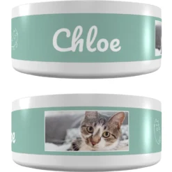 Frisco Playful Kitty Ceramic Personalized Cat Bowl, 1-cup, 8oz