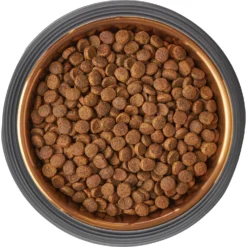 Frisco Matte Black Design Light Copper Stainless Steel Dog & Cat Bowl -PetPalace Picks 253051 PT5. AC SS1800 V1616526794