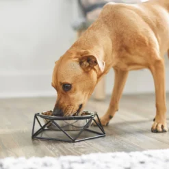 Frisco Elevated Stainless Steel Dog & Cat Bowl With Metal Stand -PetPalace Picks 253055 PT2. AC SS1800 V1616594231