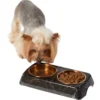 Frisco Copper Stainless Steel Double Dog & Cat Bowls With Black Marble Stand