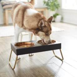 Frisco Copper Stainless Steel Elevated Foldable Double Dog & Cat Bowls -PetPalace Picks 253060 PT2. AC SS1800 V1616594243