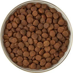 Frisco Gold Trim Melamine Dog & Cat Bowl 14 Frisco Gold Trim Melamine Dog & Cat Bowl -PetPalace Picks 253062 PT5. AC SS1800 V1616595396