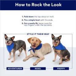 Frisco Big Sister Personalized Dog & Cat Bandana 12 Frisco Big Sister Personalized Dog & Cat Bandana -PetPalace Picks 254235 PT3. AC SS1800 V1696443276