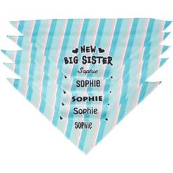 Frisco Big Sister Personalized Dog & Cat Bandana 13 Frisco Big Sister Personalized Dog & Cat Bandana -PetPalace Picks 254235 PT4. AC SS1800 V1619558530