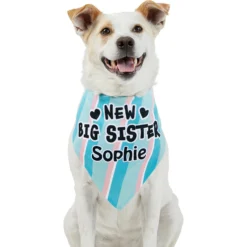 Frisco Big Sister Personalized Dog & Cat Bandana 15 Frisco Big Sister Personalized Dog & Cat Bandana -PetPalace Picks 254235 PT6. AC SS1800 V1619558258