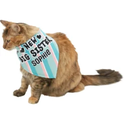 Frisco Big Sister Personalized Dog & Cat Bandana 16 Frisco Big Sister Personalized Dog & Cat Bandana -PetPalace Picks 254235 PT7. AC SS1800 V1619560404