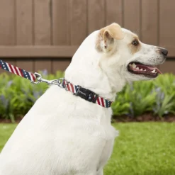 Frisco American Flag Polyester Dog Leash & Frisco American Flag Polyester Dog Collar 6 Frisco American Flag Polyester Dog Leash & Frisco American Flag Polyester Dog Collar -PetPalace Picks 255455 PT2. AC SS1800 V1602706575