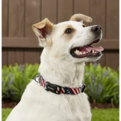 Frisco American Flag Polyester Dog Leash & Frisco American Flag Polyester Dog Collar 7 Frisco American Flag Polyester Dog Leash & Frisco American Flag Polyester Dog Collar -PetPalace Picks 255455 PT4. AC SS1800 V1602706581