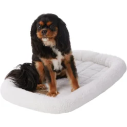 Frisco Fold & Carry Single Door Collapsible Wire Dog Crate & Frisco Quilted Dog Crate Mat -PetPalace Picks 255493 PT4. AC SS1800 V1603545111