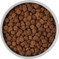 Frisco Marble Design Non-skid Ceramic Dog & Cat Bowl -PetPalace Picks 256056 PT6. AC SS1800 V1615310860