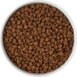 Frisco Paw Prints Non-skid Ceramic Bowl -PetPalace Picks 256072 PT5. AC SS1800 V1615312318