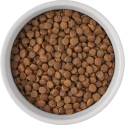 Frisco Bones Non-skid Ceramic Dog & Cat Bowl 11 Frisco Bones Non-skid Ceramic Dog & Cat Bowl -PetPalace Picks 256074 PT5. AC SS1800 V1615312010