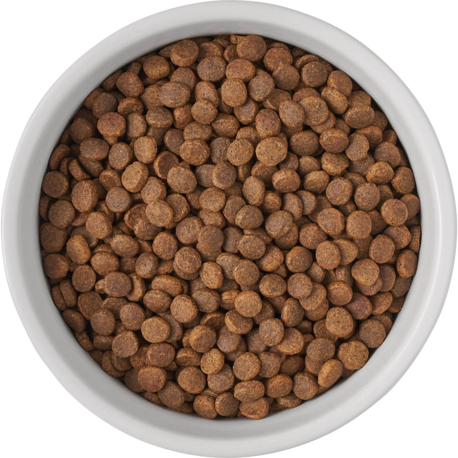 Frisco Bones Non-skid Ceramic Dog & Cat Bowl 6 Frisco Bones Non-skid Ceramic Dog & Cat Bowl - Image 6