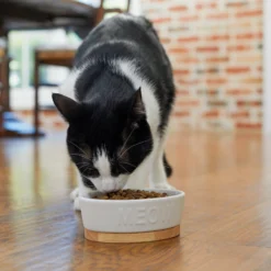 Frisco Oval Meow Non-skid Ceramic Cat Bowl With Wood Base -PetPalace Picks 256080 PT2. AC SS1800 V1615310782