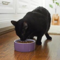 Frisco Kaleidoscope Pattern Non-skid Ceramic Dog & Cat Bowl -PetPalace Picks 256090 PT2. AC SS1800 V1615311092