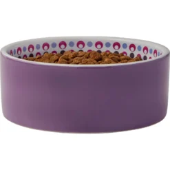 Frisco Kaleidoscope Pattern Non-skid Ceramic Dog & Cat Bowl -PetPalace Picks 256090 PT3. AC SS1800 V1615311698